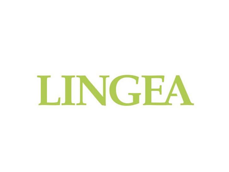 Lingea