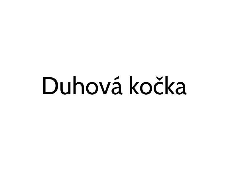 Duhová kočka